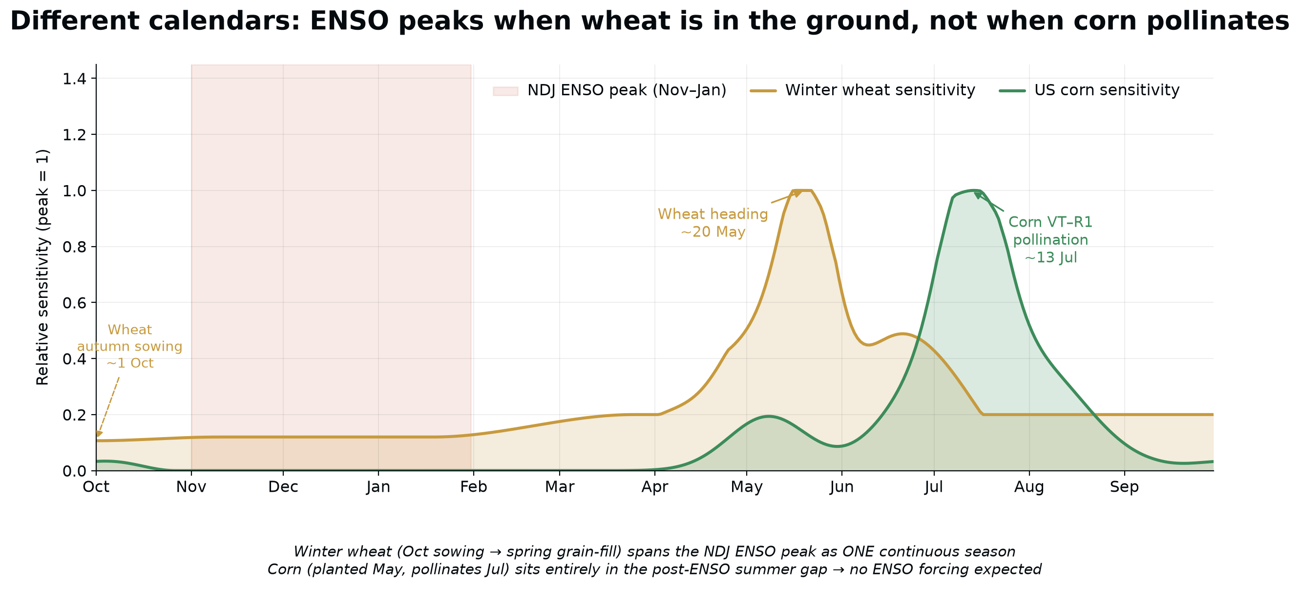 Winter wheat's Oct–Jul season spans the Nov–Jan ENSO peak; corn's July pollination sits in the summer gap. Source: twx-phenoweight presets, NOAA CPC ENSO climatology. Treefera.